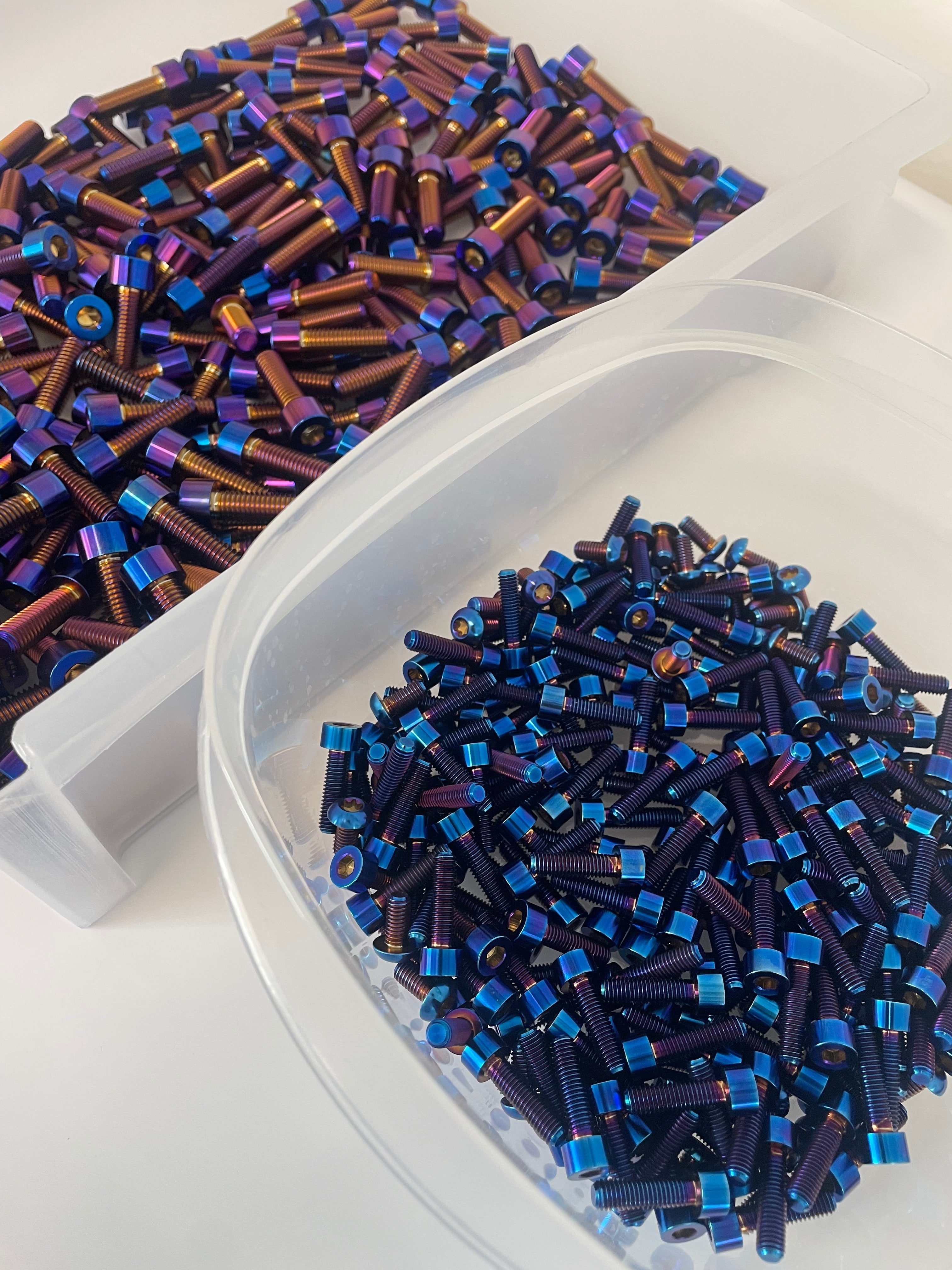 E-ride pro 2.0/3.0 titanium bolt kit