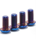 Titanium Side Panel Bolts
